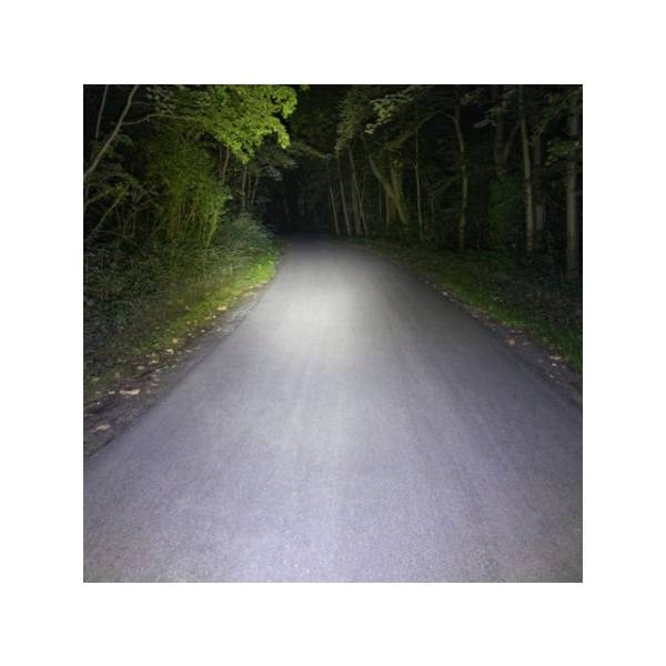 Sigma Buster 800L & RL 150L Light Set